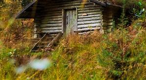 Image result for Log Cabin Snowdon