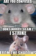 Image result for Mouse with Blue Teeth Meme