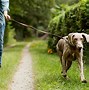 Image result for With My Dog Leash