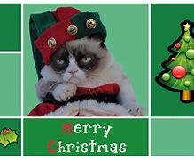 Image result for Grumpy Cat Merry Christmas