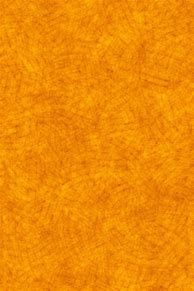 Image result for Orange iPhone Background