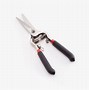 Image result for Fine Pruning Shears