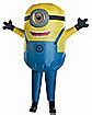 Image result for Minion Inflatable Costume