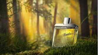 Image result for Best Product Photography with Wight Background