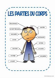 Image result for Les Parties Du Corps Humain