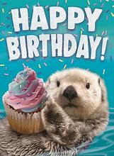 Image result for Happy Birthday Otter