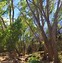 Image result for Arizona Nature Trail