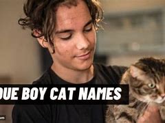 Image result for Funny Male Cat Names