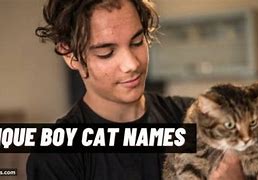 Image result for Funny Boy Cat Names