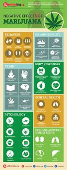 Image result for Harmful Effects of Marijuana