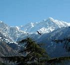 Image result for Himachal Pradesh People