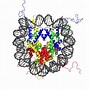 Image result for 4C and 5C Chromatin