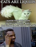 Image result for Cat Makes Sense Meme