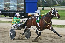 Image result for Harness Racing Betting