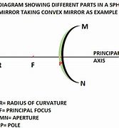 Image result for Spherical Mirror