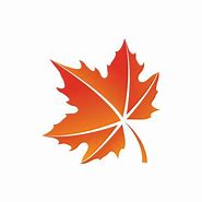 Image result for Gold Maple Leafs Logo