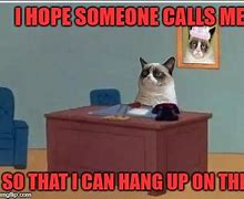 Image result for Grumpy Cat Phone Meme