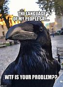 Image result for Language of My People Meme
