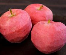 Image result for Pink Fruit Like Apple