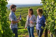 Image result for Barmes Buecher Riesling Tradition