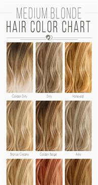 Image result for Warm Blonde Hair Color Shades