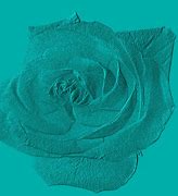 Image result for Rose Gold Earphones