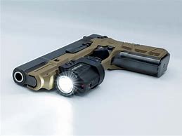 Image result for Fenix Gun Light