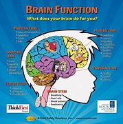 Image result for Human Brain Thinking Map