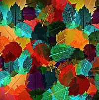 Image result for Autumn Leaves Landscape Wallpaper 4K