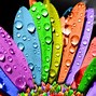 Image result for Rainbow Flower Wallpaper Backgrounds