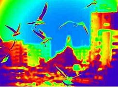 Image result for iPhone Infrared Camera