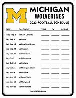 Image result for Michigan Wolverines Fans