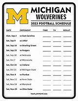 Image result for Michigan Football Fans