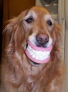 Image result for Meme Smile Full Teeth