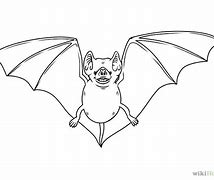 Image result for Baby Fruit Bat Yawning