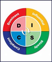 Image result for Disc Personality Logo