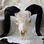 Image result for Ram Skull Decor