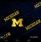 Image result for Michigan Wolverines Football Players