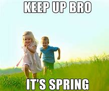 Image result for Funny Memes About Spring