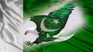 Image result for Pakistan Flag Day