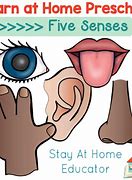 Image result for 5 Senses Lesson Plan