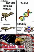 Image result for Evolution and Turkey Meme