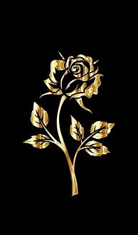 Image result for Black Gold Rose