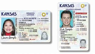 Image result for Kansas ID 21 Blank