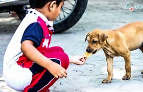 Image result for People Being Kind to Animals