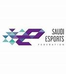 Image result for Saudi Arabia eSports