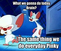 Image result for Pinky and Brain Meme