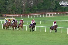 Image result for 7 Horse Racing Wallpaper
