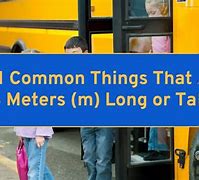 Image result for Objects That Are 4 Meters Long