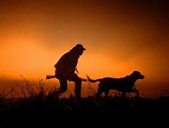 Image result for Hunting Boar with Dogs Wallpaper